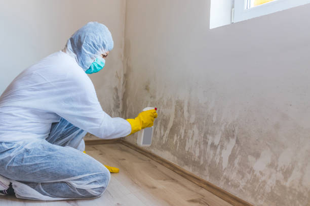 Licensed Crawl Space Mold Removal service in Concord, MA - WQB Mold Removal