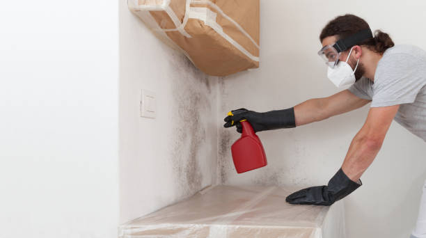 Professional Crawl Space Mold Removal technician working in Concord, MA