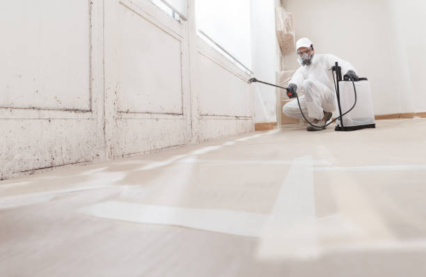 24/7 Emergency Crawl Space Mold Removal experts in Concord, MA