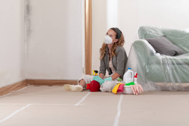 Reliable Crawl Space Mold Removal contractor in Concord, MA by WQB Mold Removal