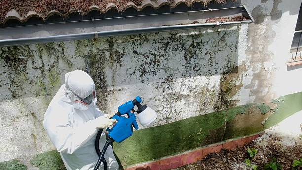 Top rated local Crawl Space Mold Removal specialists in Concord, MA